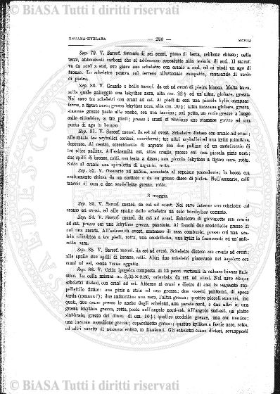 n. 8-9 (1909) - Copertina: 1