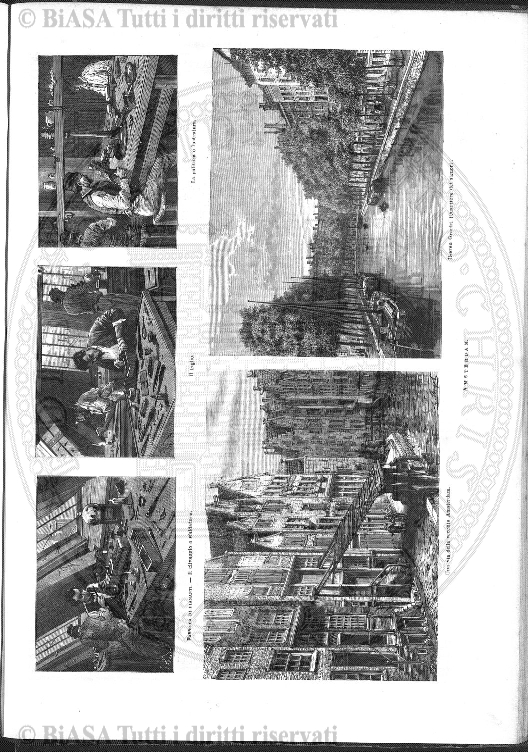 v. 28, n. 11 (1861-1862) - Pagina: 81