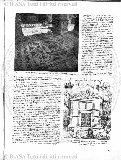 n. 11 (1889) - Pagina: 21
