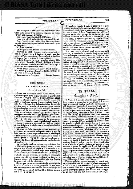 v. 15, n. 44 (1848-1849) - Pagina: 345