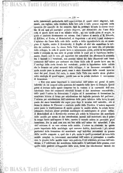 v. 6, n. 25 (1839-1840) - Pagina: 193