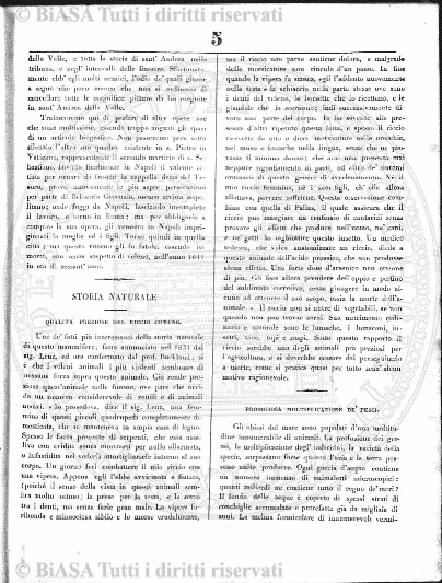 s. 3, v. 8, n. 12 (1883-1884) - Copertina: 1