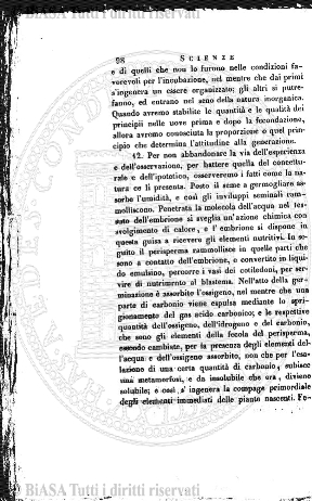 s. 4, v. 8, parte 2 (1890) - Pagina: 1