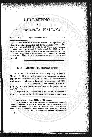 v. 14, n. 18 (1847-1848) - Pagina: 141