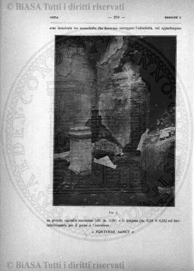 n. 11 (1915) - Copertina: 1