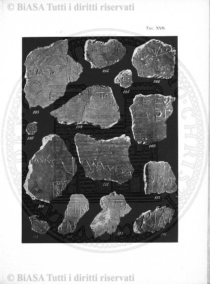 n. 12 (1905-1906) - Pagina: 45