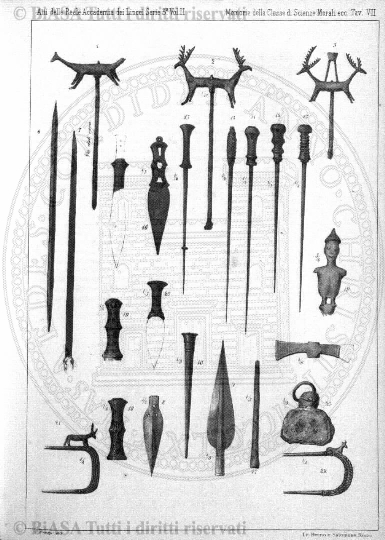 v. 14, n. 29 (1847-1848) - Pagina: 229