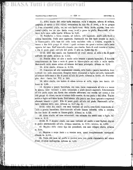 n. 8 (1926-1927) - Pagina: 457