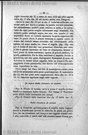 s. 3, n. 11 (1893) - Copertina: 1
