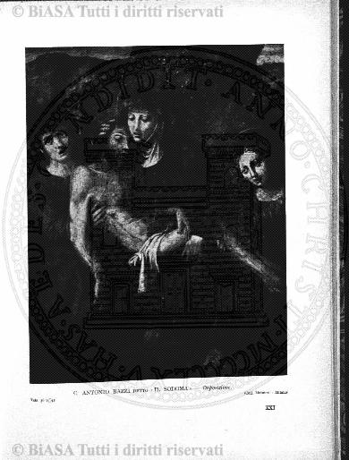 n. 5 (1873-1874) - Pagina: 33