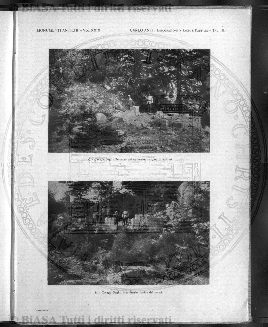 s. 2, v. 1, n. 5-6 (1885) - Pagina: 65