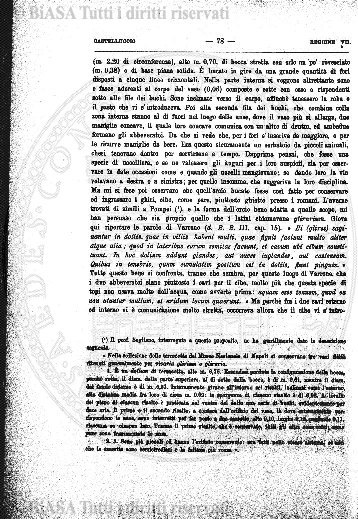 s. 3, v. 6, n. 4-6 (1900) - Pagina: 53
