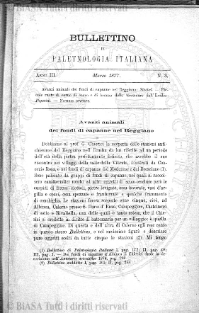 s. 2, v. 6, n. 7-8-9 (1890) - Pagina: 85