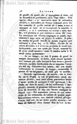 n. 9 (1859) - Pagina: 177