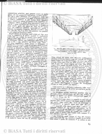 n.s., n. 61 (1854-1855) - Pagina: 81