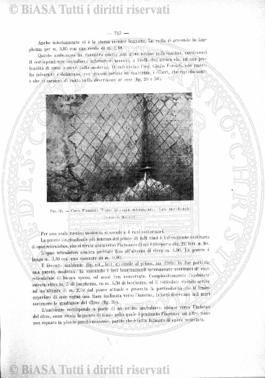 s. 2, n. 13 (1888-1889) - Pagina: 1