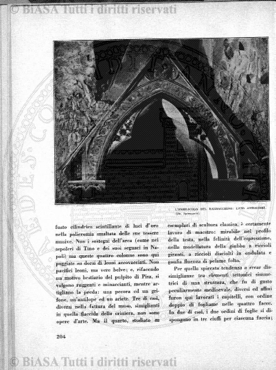 n. 11-12 (1905) - Copertina: 1