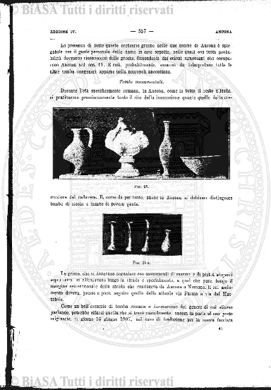 n. 7 (1924-1925) - Copertina: 1