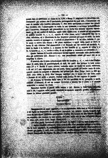 n. 41 (1881) - Frontespizio e sommario