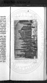 n. 16 (1903) - Frontespizio