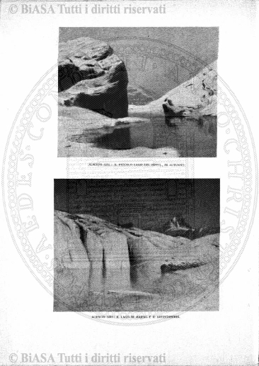 n. 7 (1918) - Copertina: 1