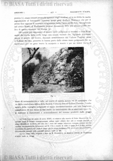 v. 16, n. 26 (1849-1850) - Pagina: 201