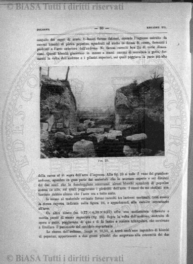 n. 8 (1883) - Frontespizio