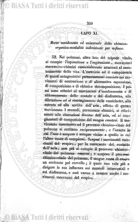 1888 (1888) - Occhietto