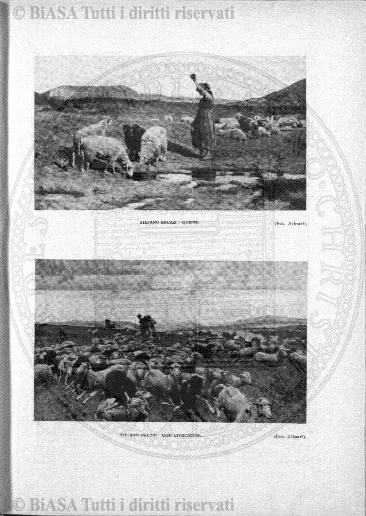 v. 3, n. 50 (1776-1777) - Pagina: 393