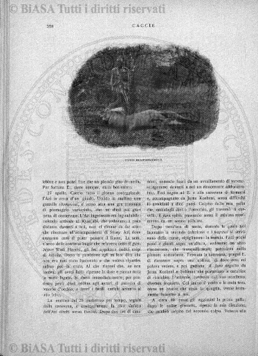 v. 21, n. 30 (1794-1795) - Pagina: 233
