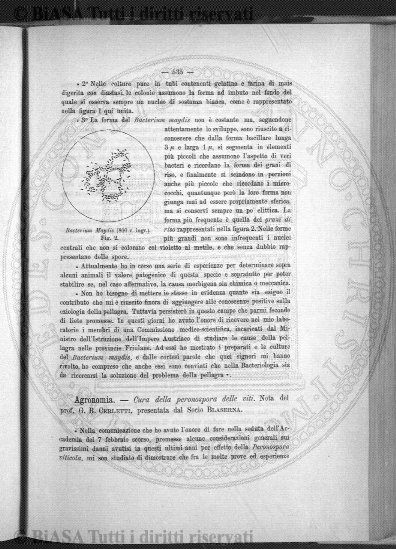 n. 10 (1926-1927) - Copertina: 1