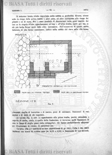 n. 24 (1895) - Frontespizio