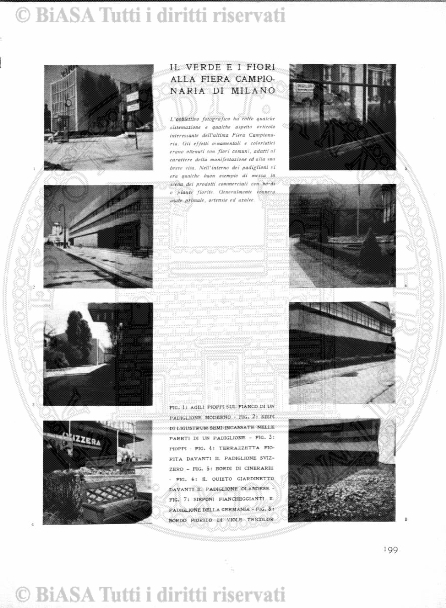v. 3, n. 40 (1836-1837) - Pagina: 313