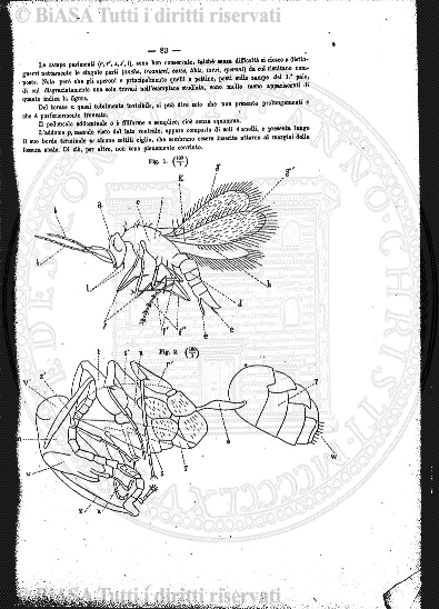 n.s., v. 5, n. 5 (1934) - Frontespizio e sommario