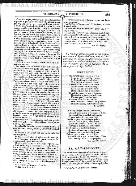 n.s., mag-dic (1904) - Pagina: 169