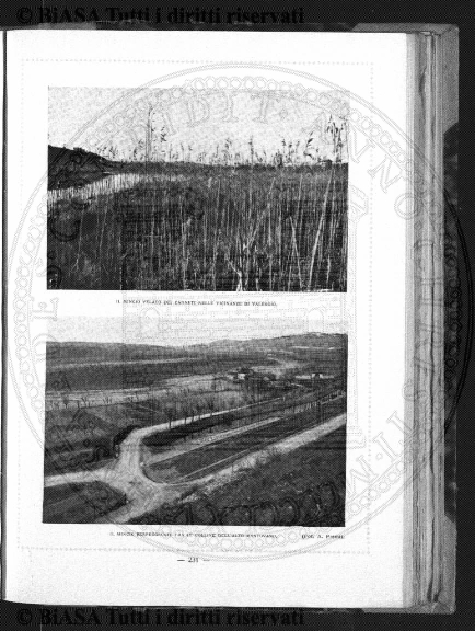 n. 1 (1915) - Copertina: 1