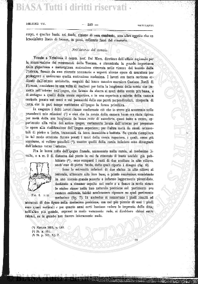 n. 4 (1923-1924) - Pagina: 145