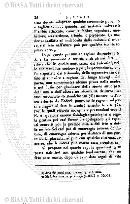 n. 3 (1904) - Pagina: 99