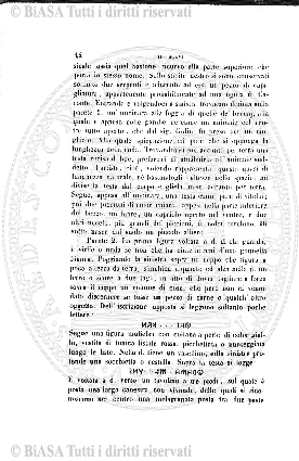 n. 32 (1888) - Frontespizio
