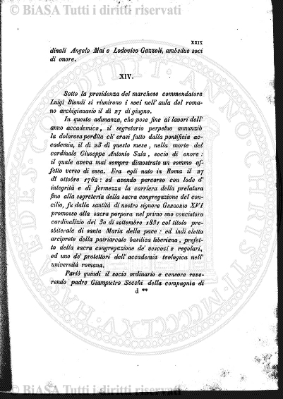 n. 7 (1904) - Copertina: 1 e sommario