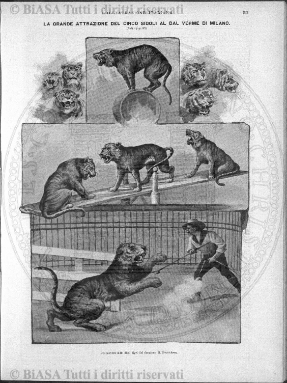 n. 2 (1943) - Copertina: 1