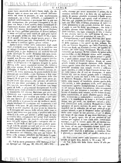 n. 5 (1918) - Copertina: 1