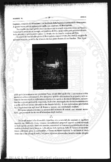 s. 3, n. 10 (1898) - Pagina: 73 e sommario