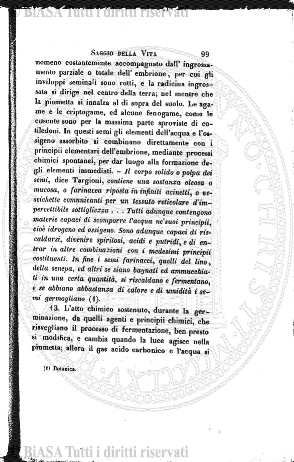 n. 8 (1918) - Pagina: 57