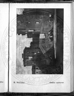 n. 2 (1903) - Pagina: 43