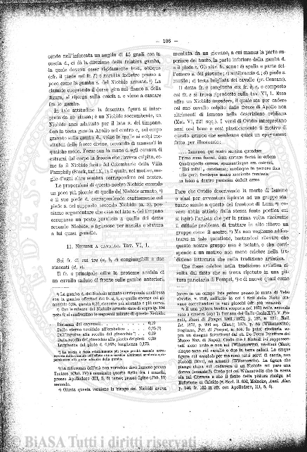 v. 3, n. 33 (1838-1839) - Pagina: 257