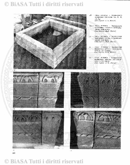 s. 2, v. 13, n. 7 (1879) - Pagina: 225