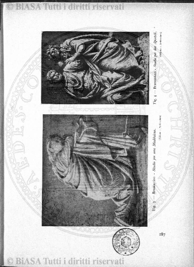 n. 7 (1910) - Pagina: 245