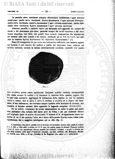 n. 4 (1884) - Pagina: 7
