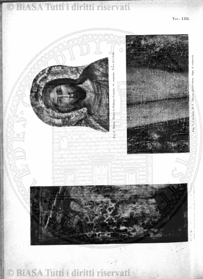 s. 4, v. 20 (1892) - Frontespizio